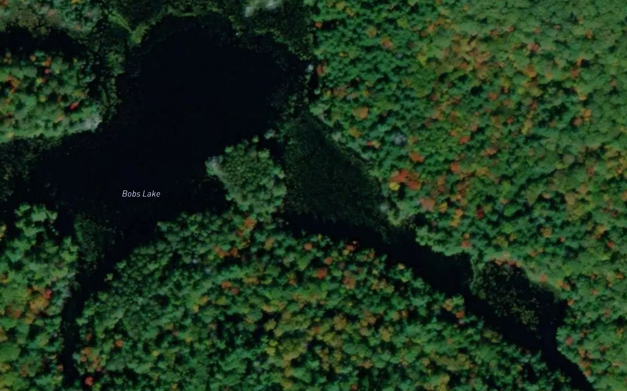 Bobs Lake