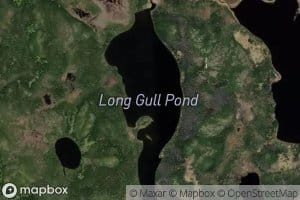 Long Gull Pond