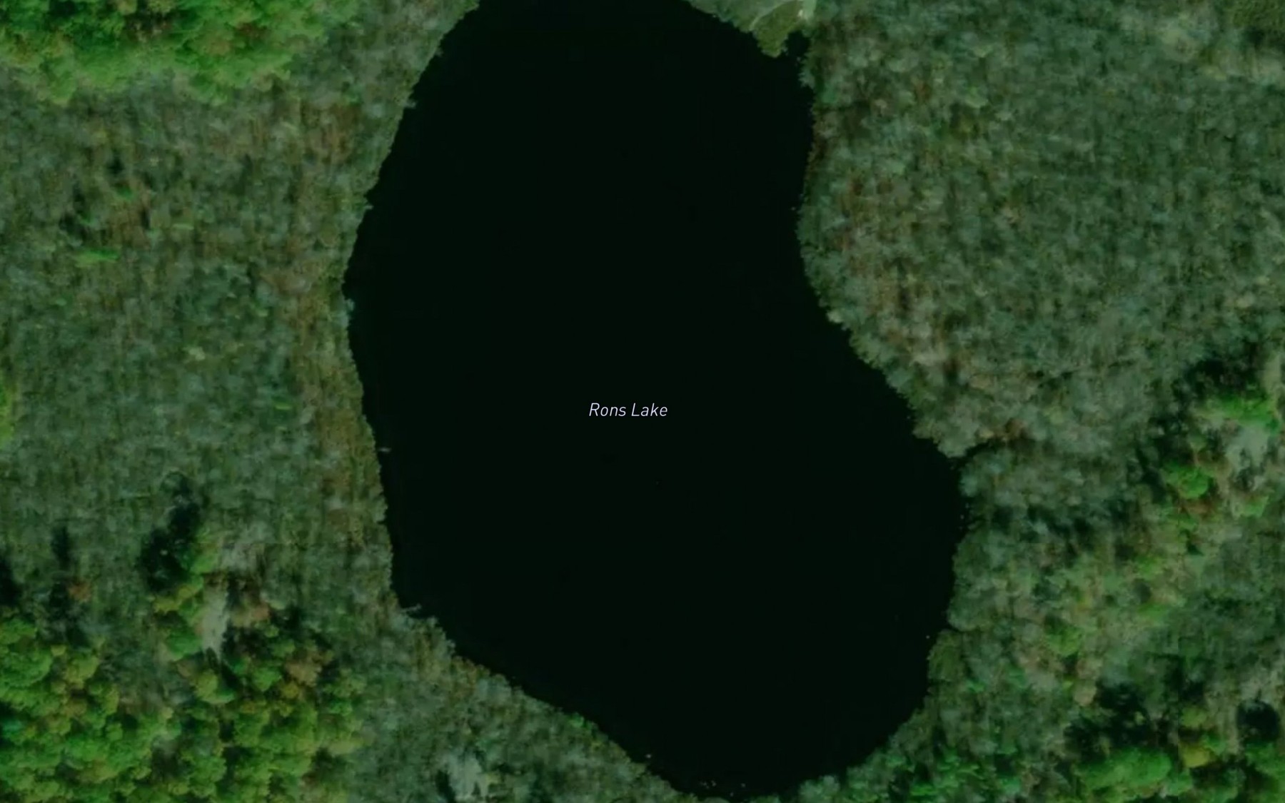 Satellite map of the Rons Lake