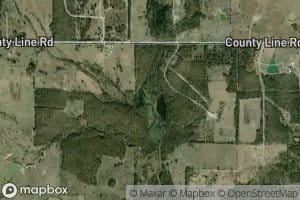 Coon Creek