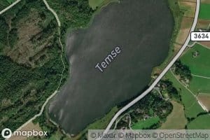 Temse