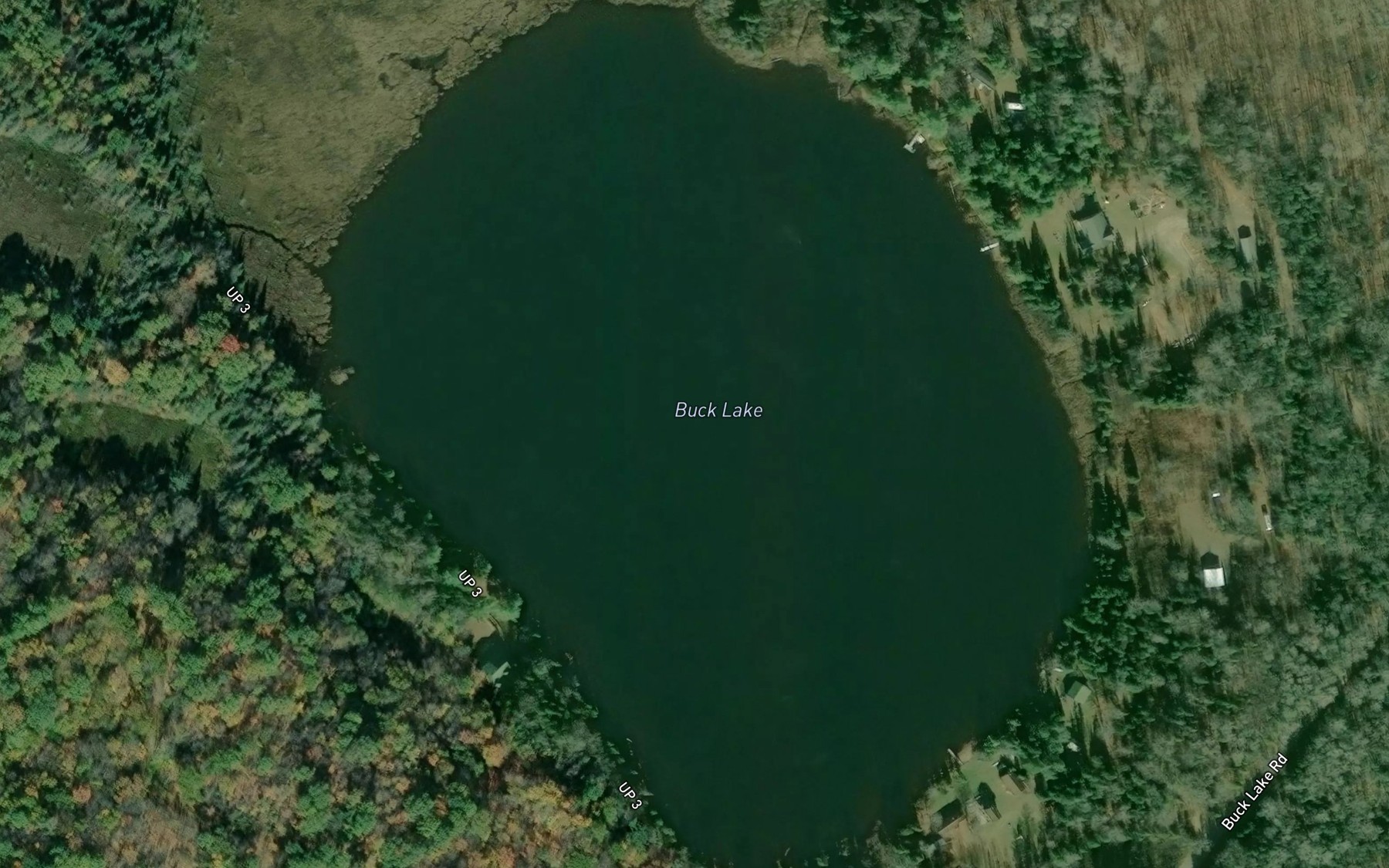 Satellite map of the Buck Lake