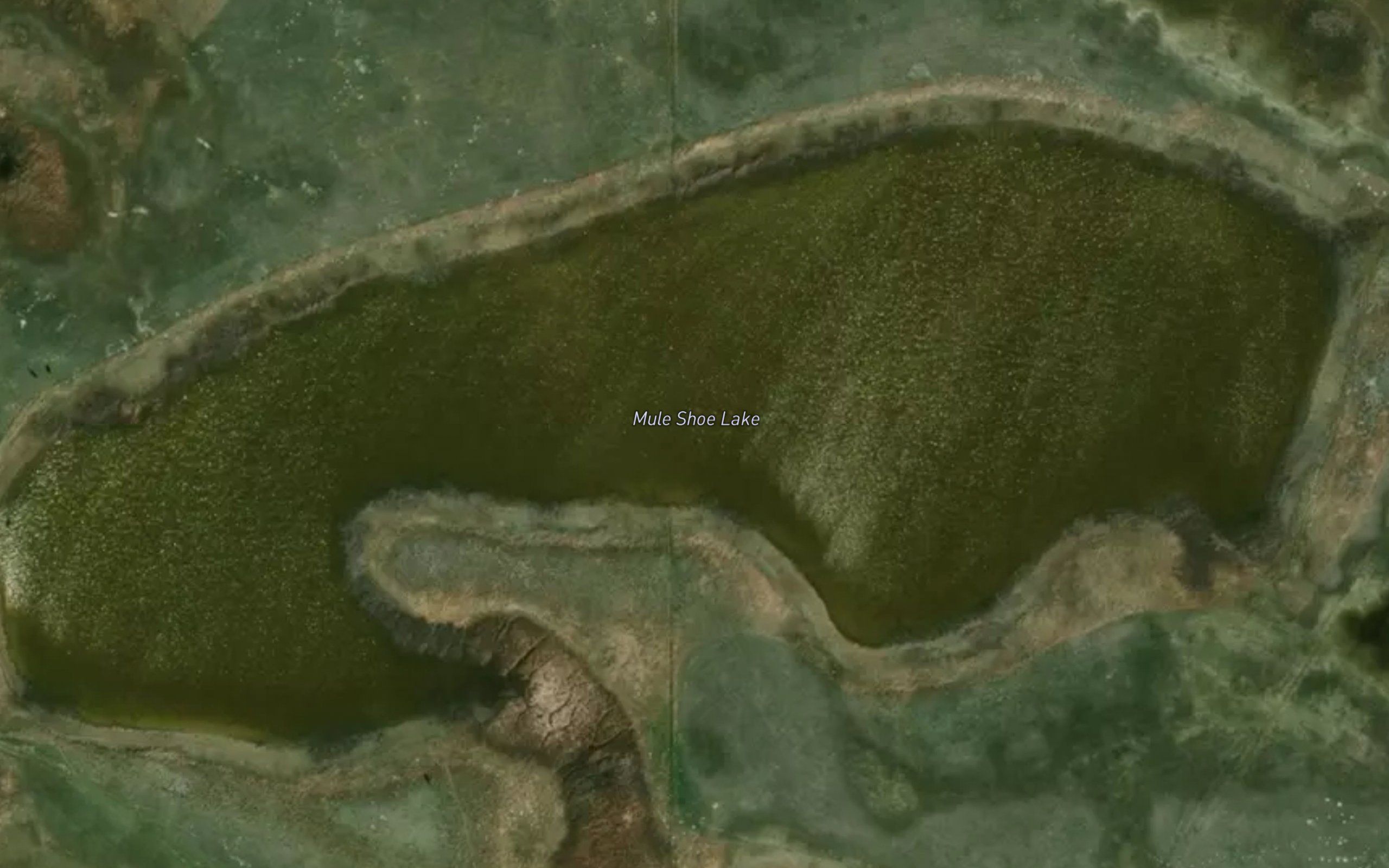 Muleshoe Lake