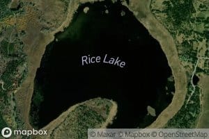 Rice Lake