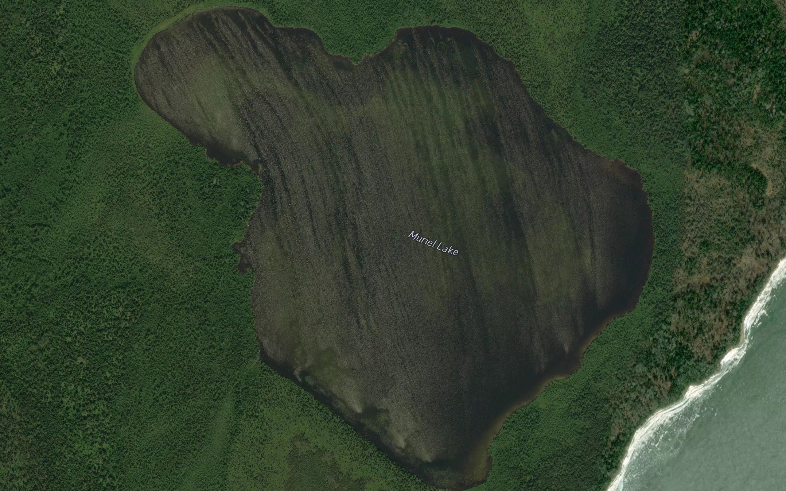 Muriel Lake