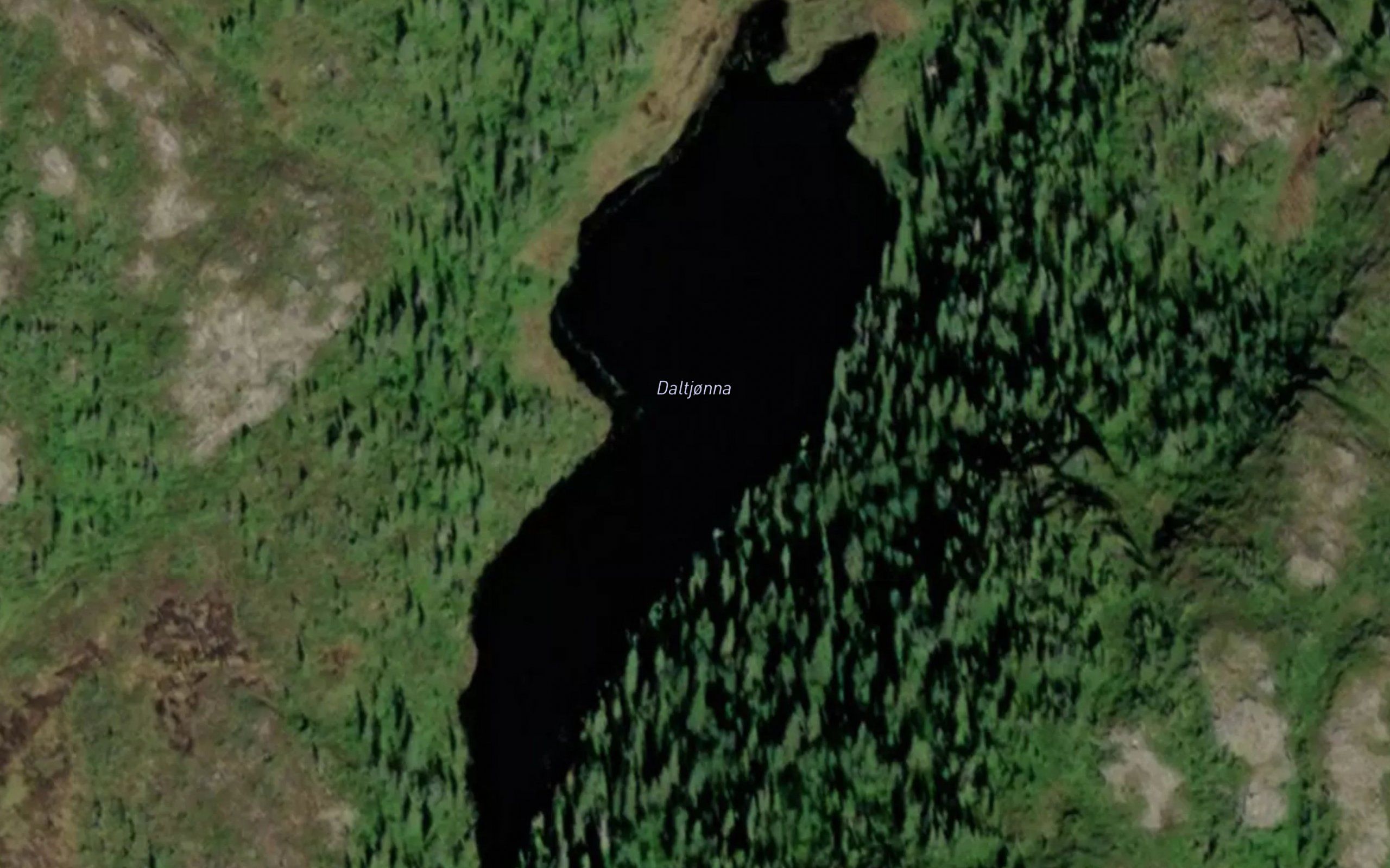 Daltjonna