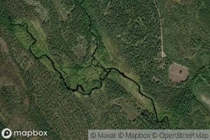 Elimonjoki
