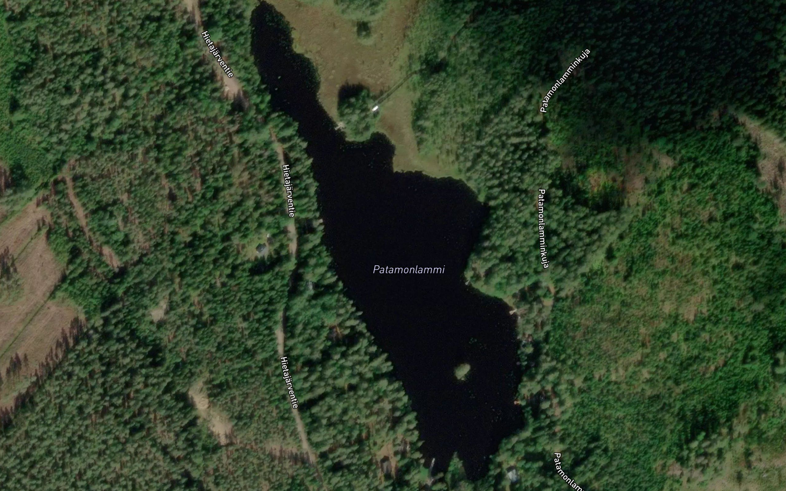 Patamonlammi