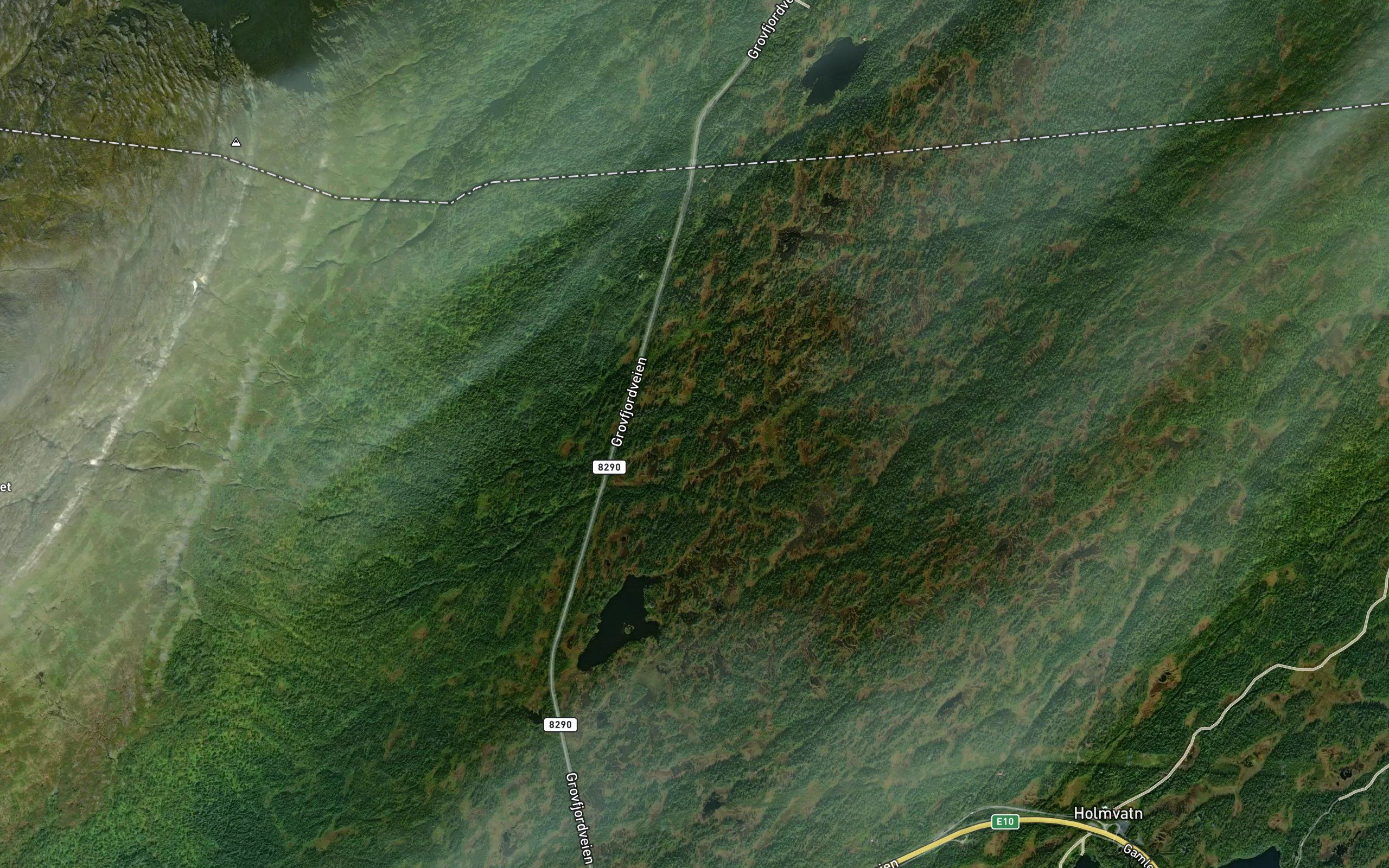 Botnelva