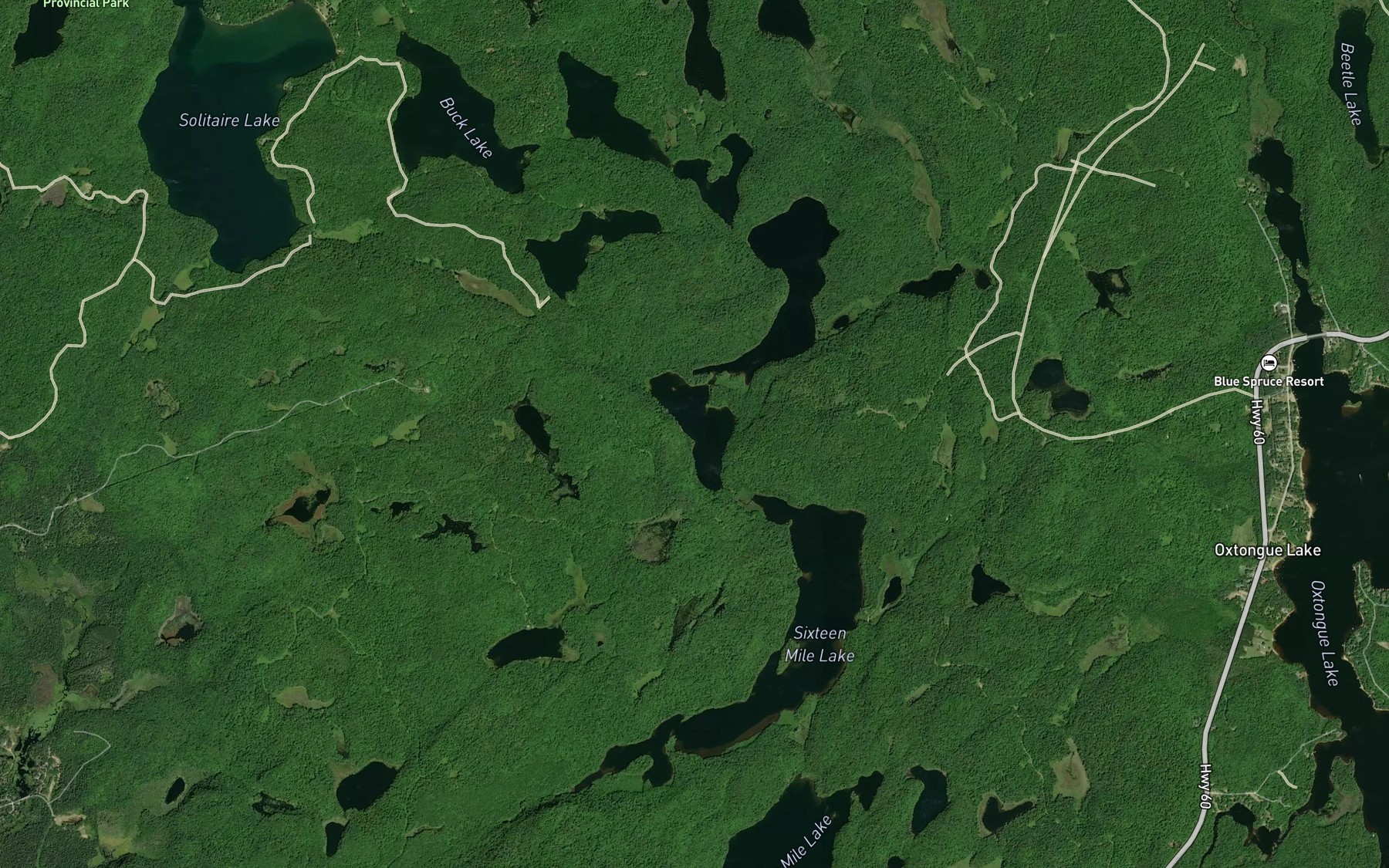 Satellite map of the Seventeen Mile Lake