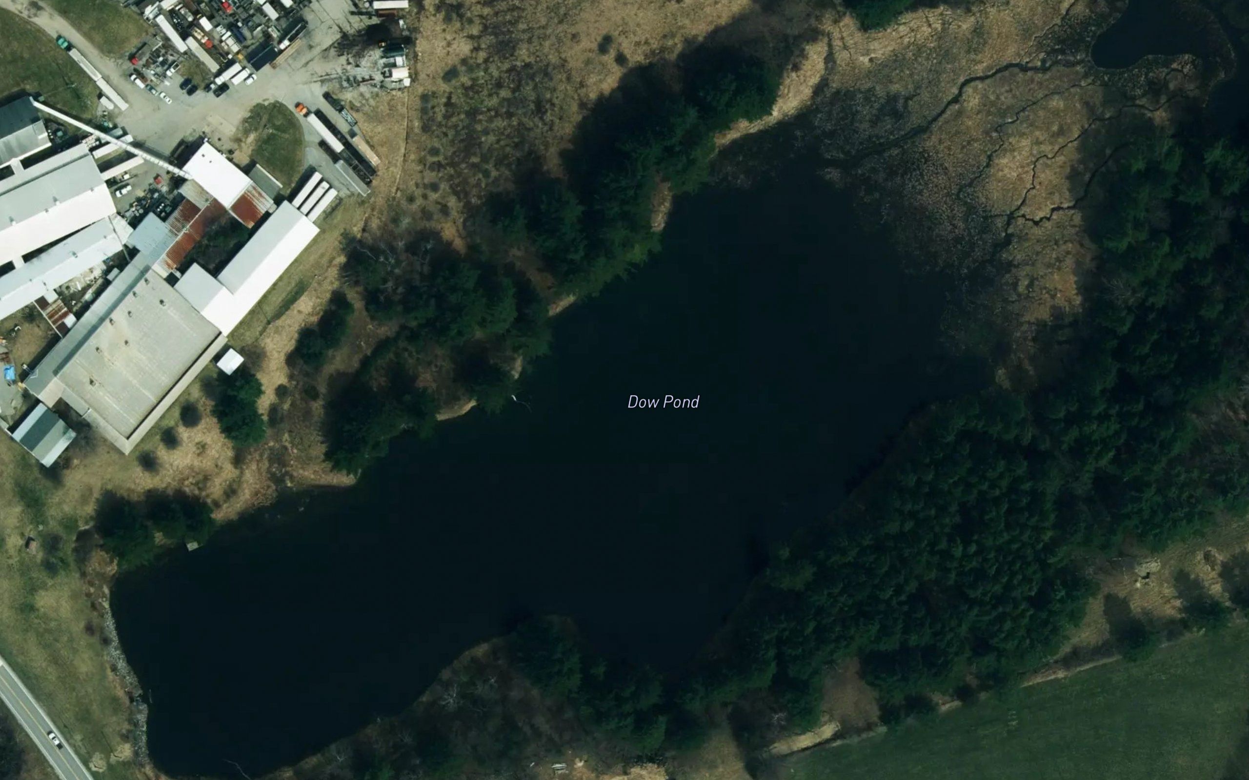 Dow Pond