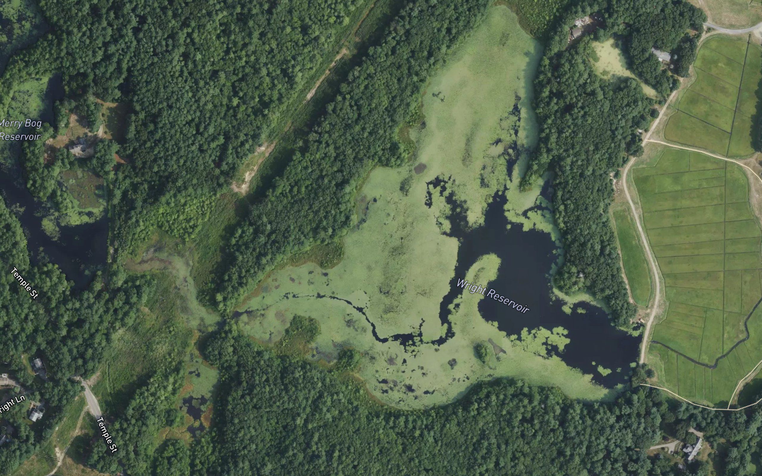 Wright Reservoir