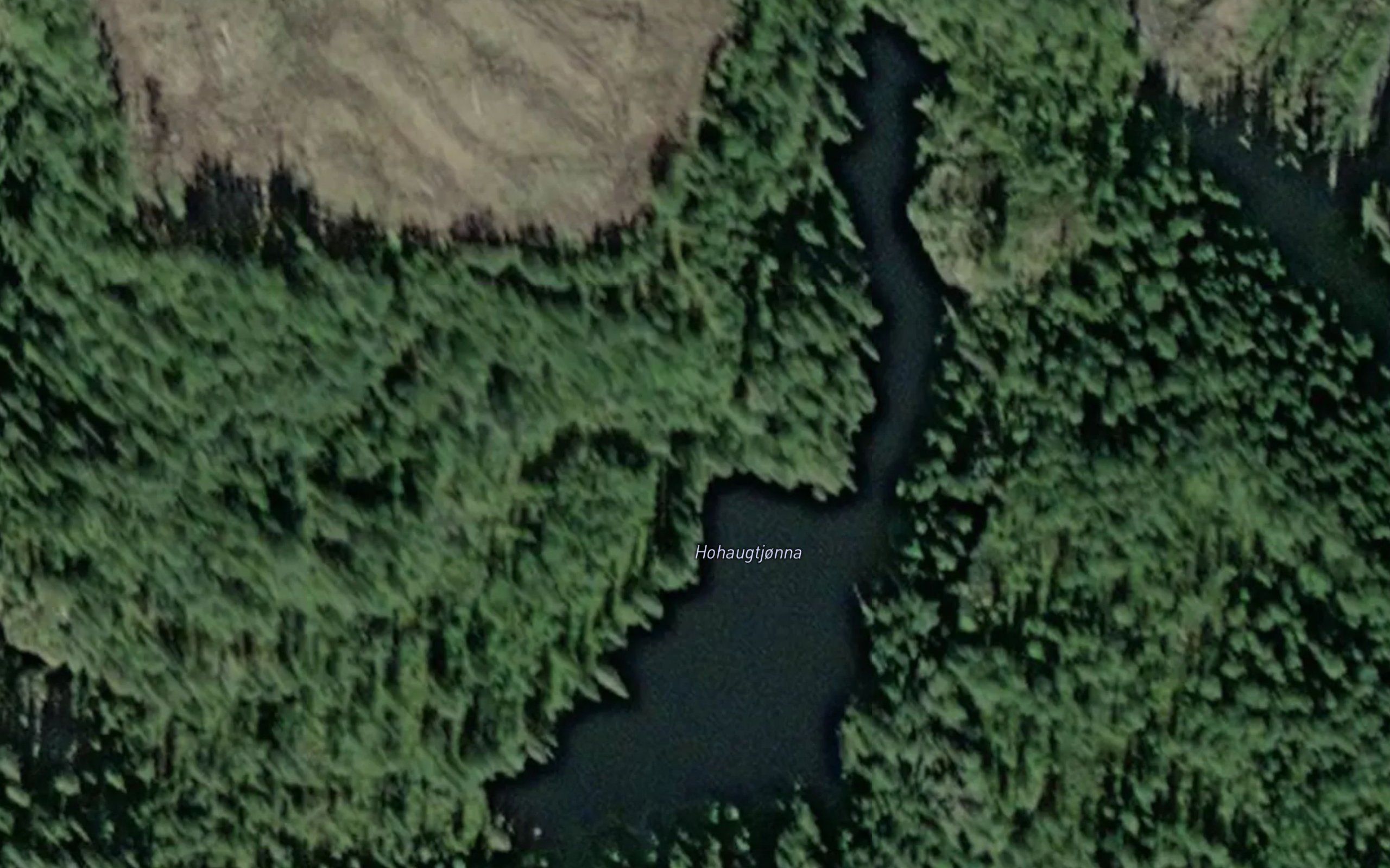 Hohaugtjonna