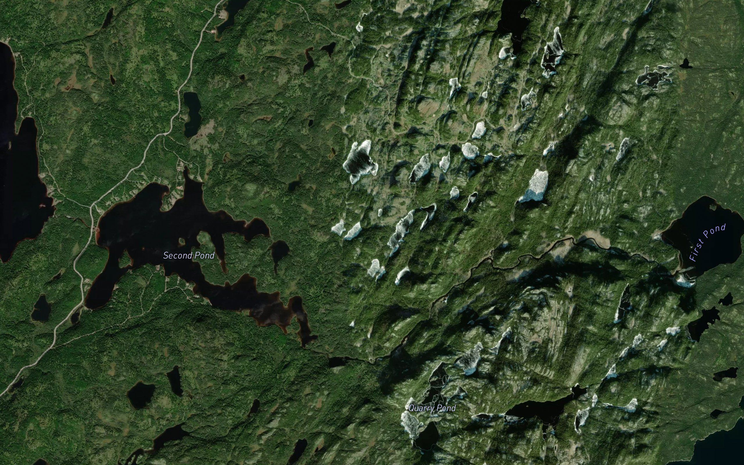 Kettle Pond