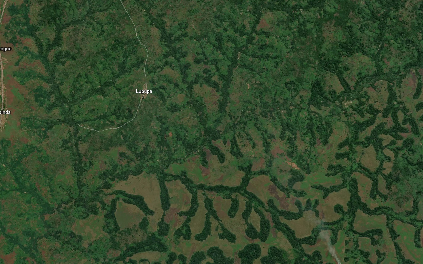 Satellite map of the Lupemba