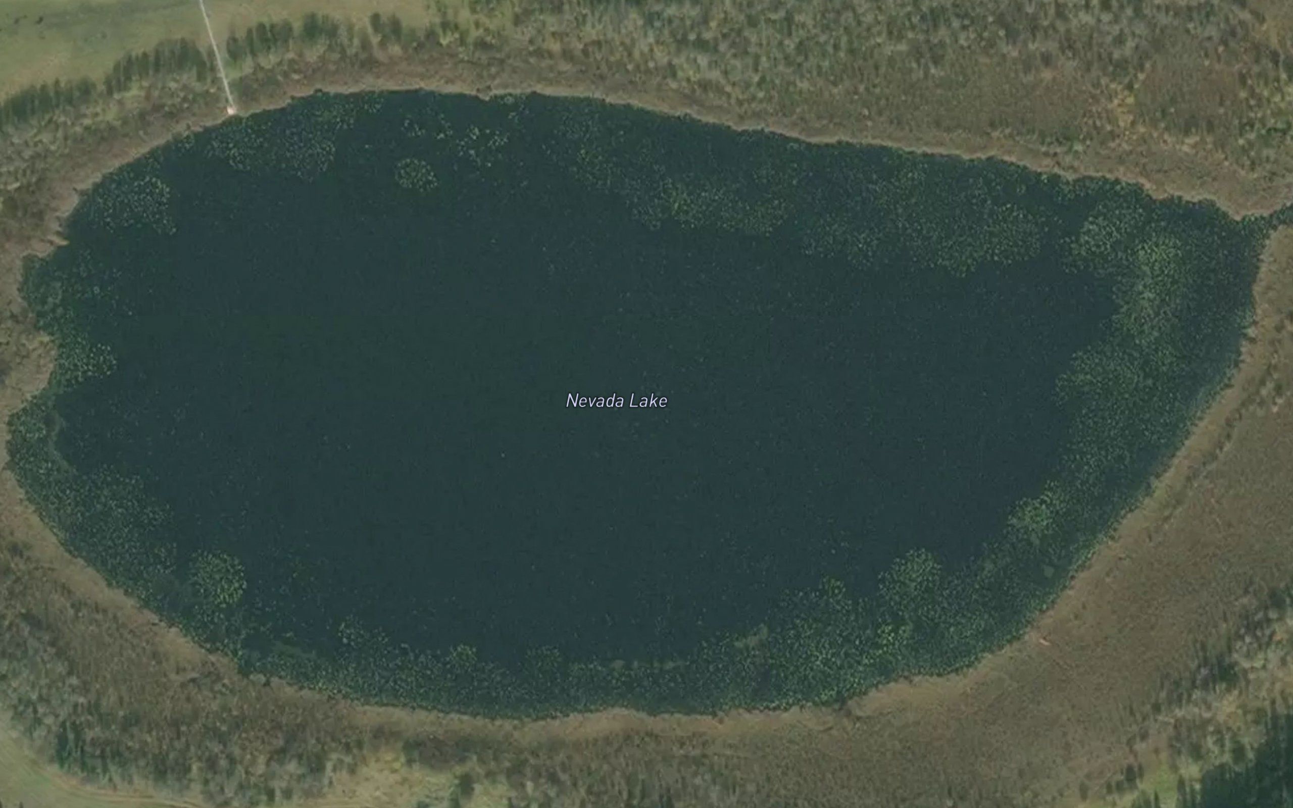 Nevada Lake