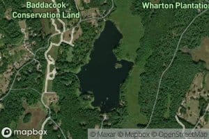 Baddacook Pond