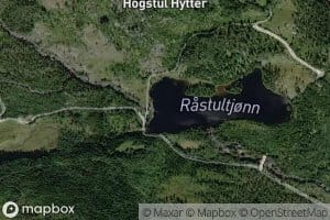 Rastultjonn
