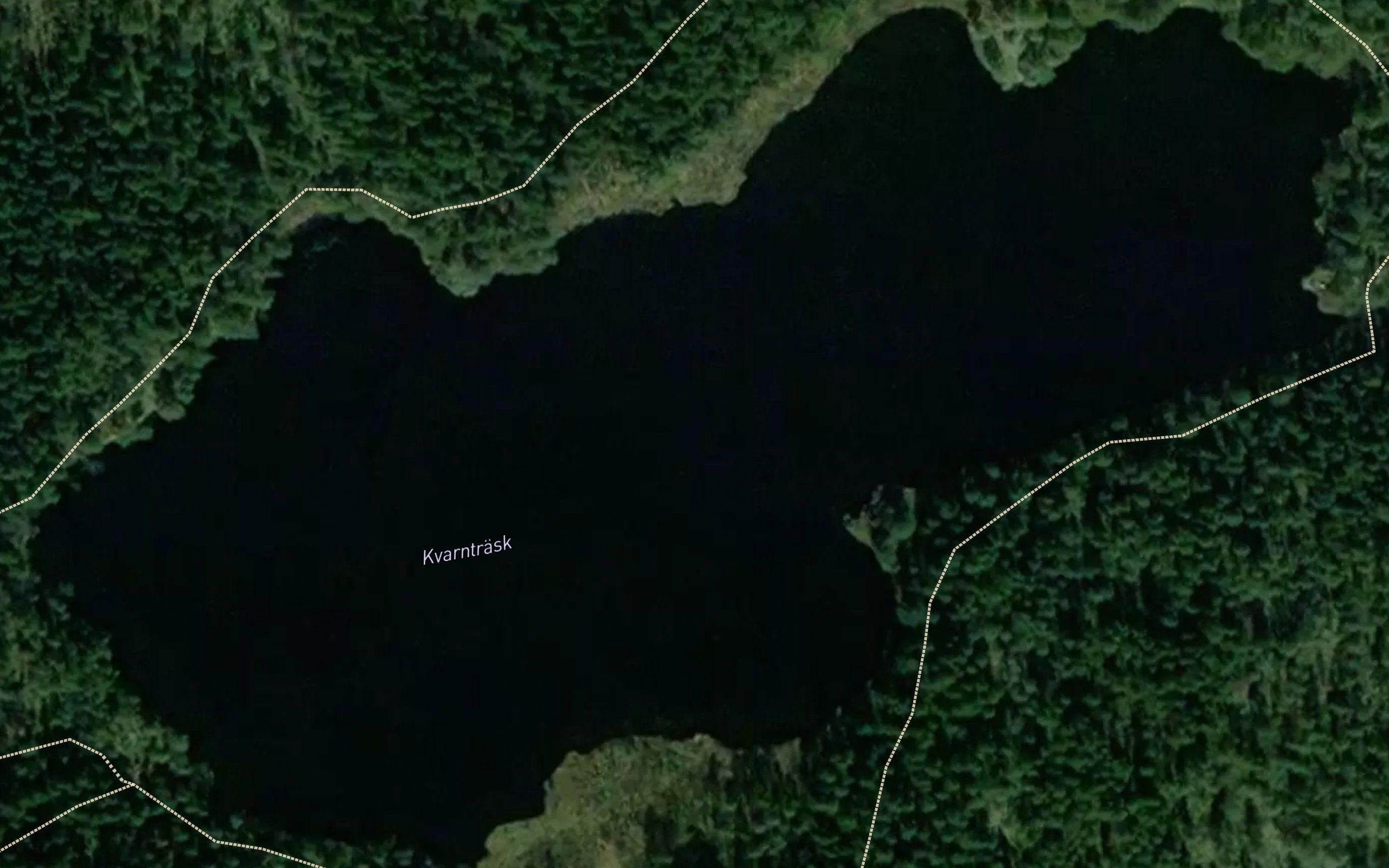 Kvarntrask
