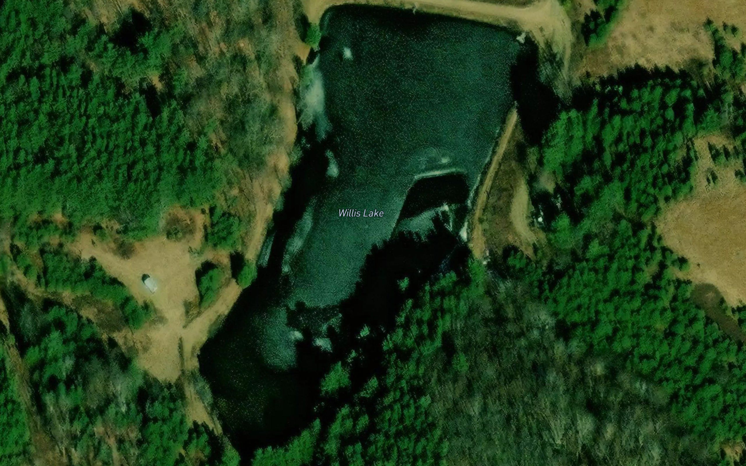 Willis Lake