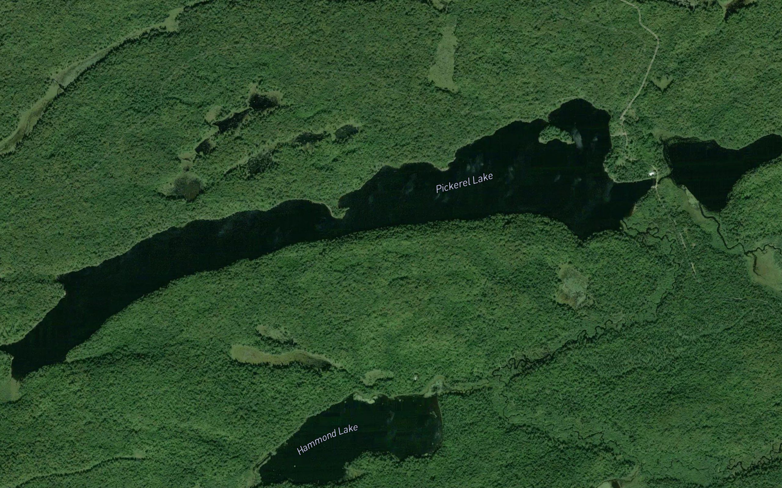 Pickerel Lake