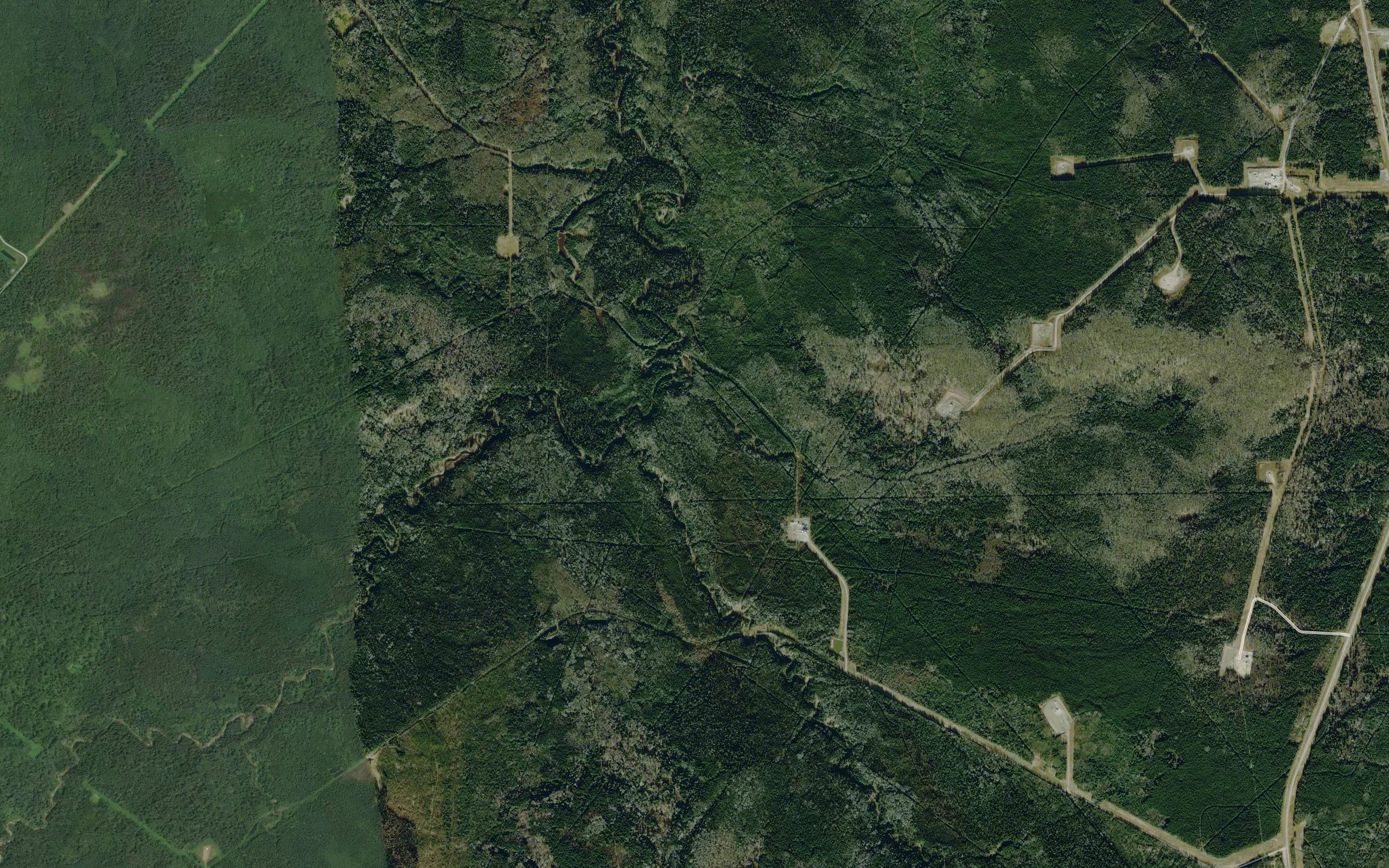 Steep Creek