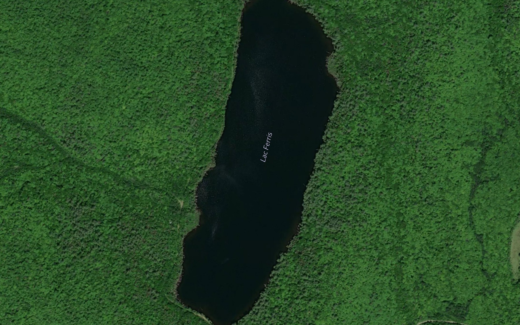 Satellite map of the Lac Ferris