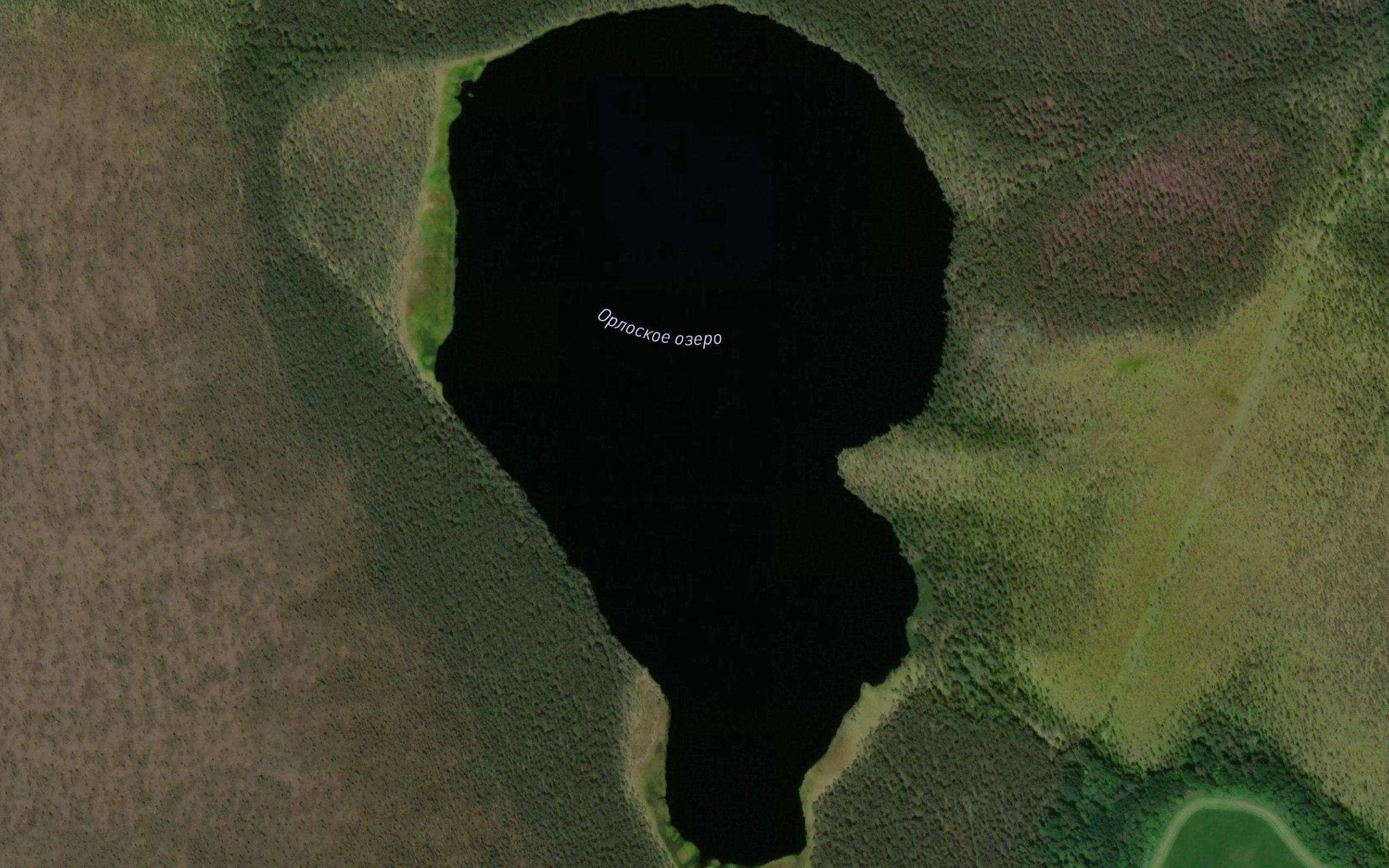 Ozero Orlovskoye