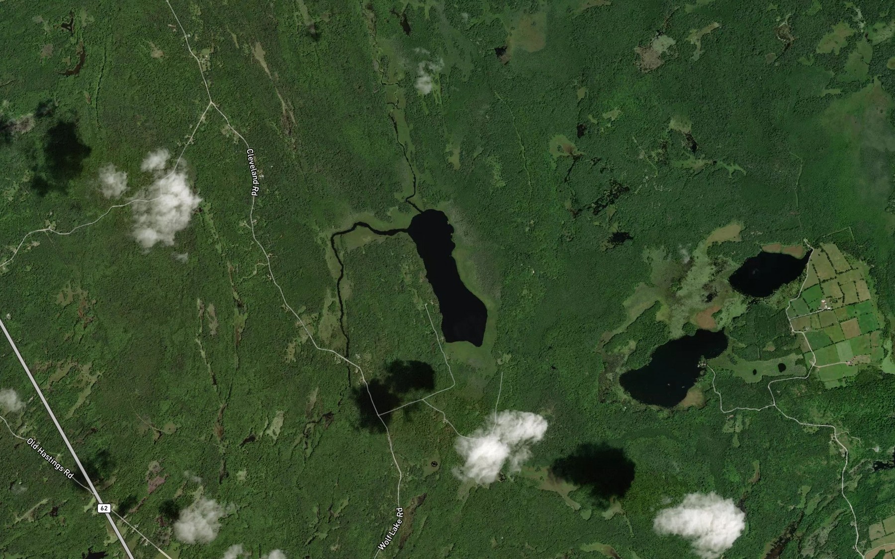 Satellite map of the Wolf Lake