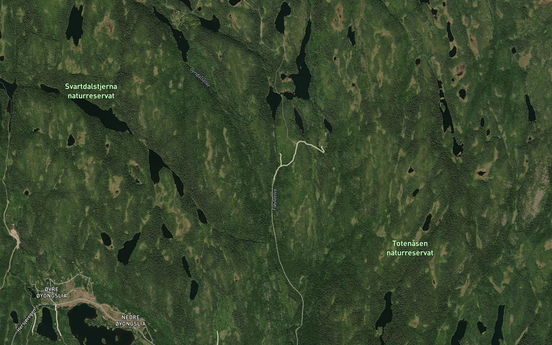 Satellite map of the Floyteelva