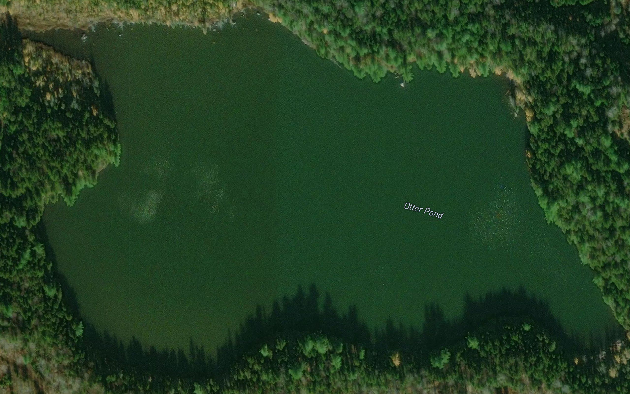 Otter Pond