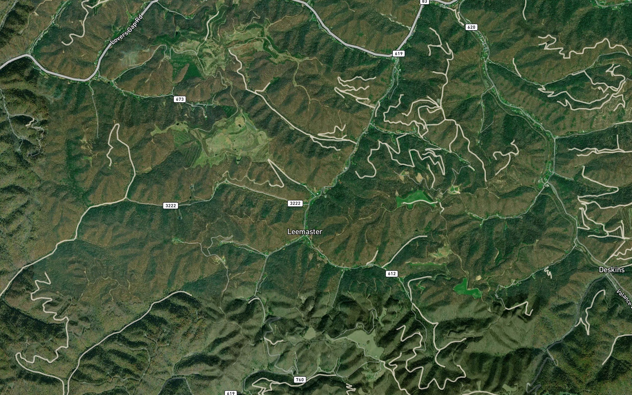 Spicewood Branch