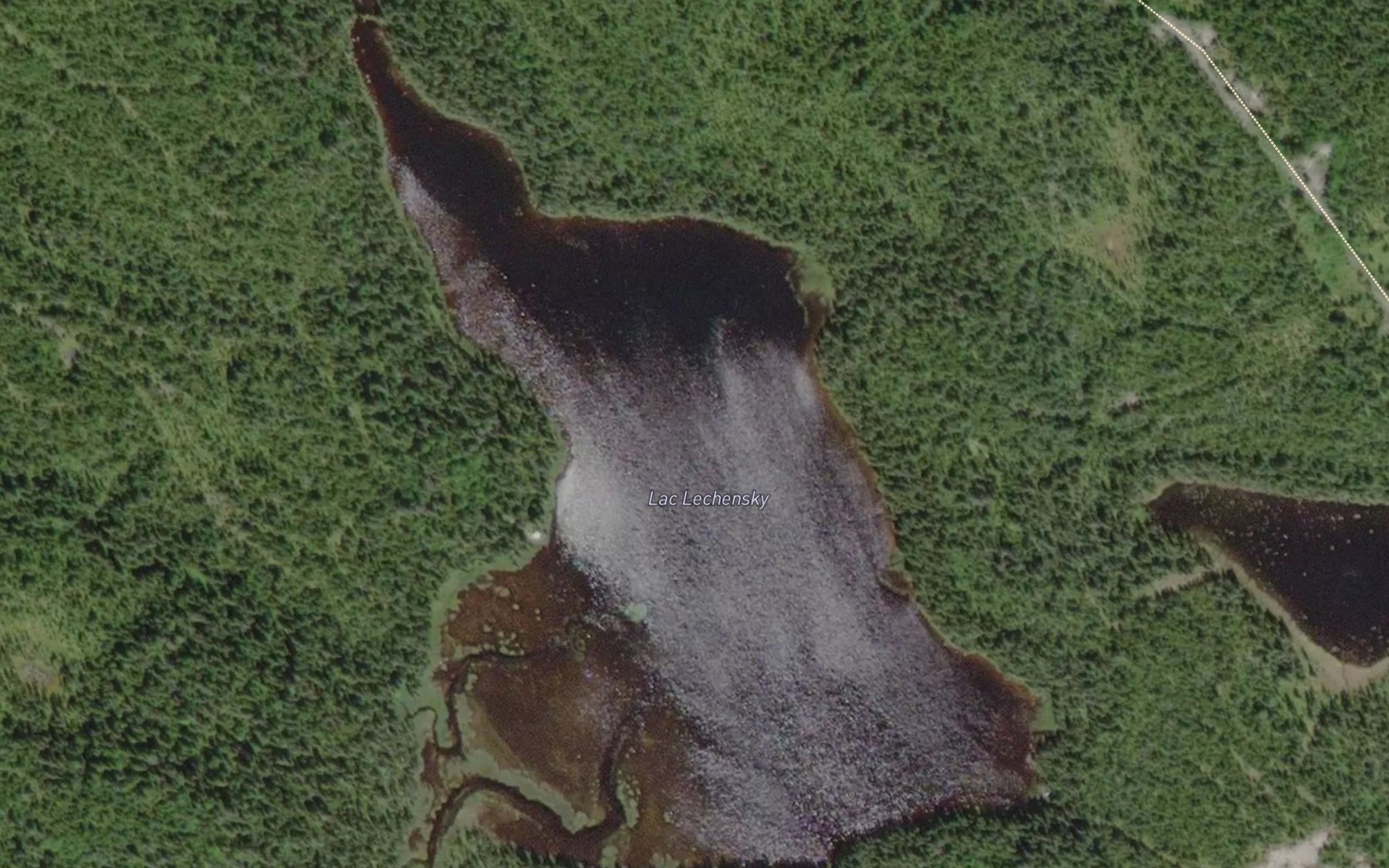 Satellite map of the Lac Lechensky