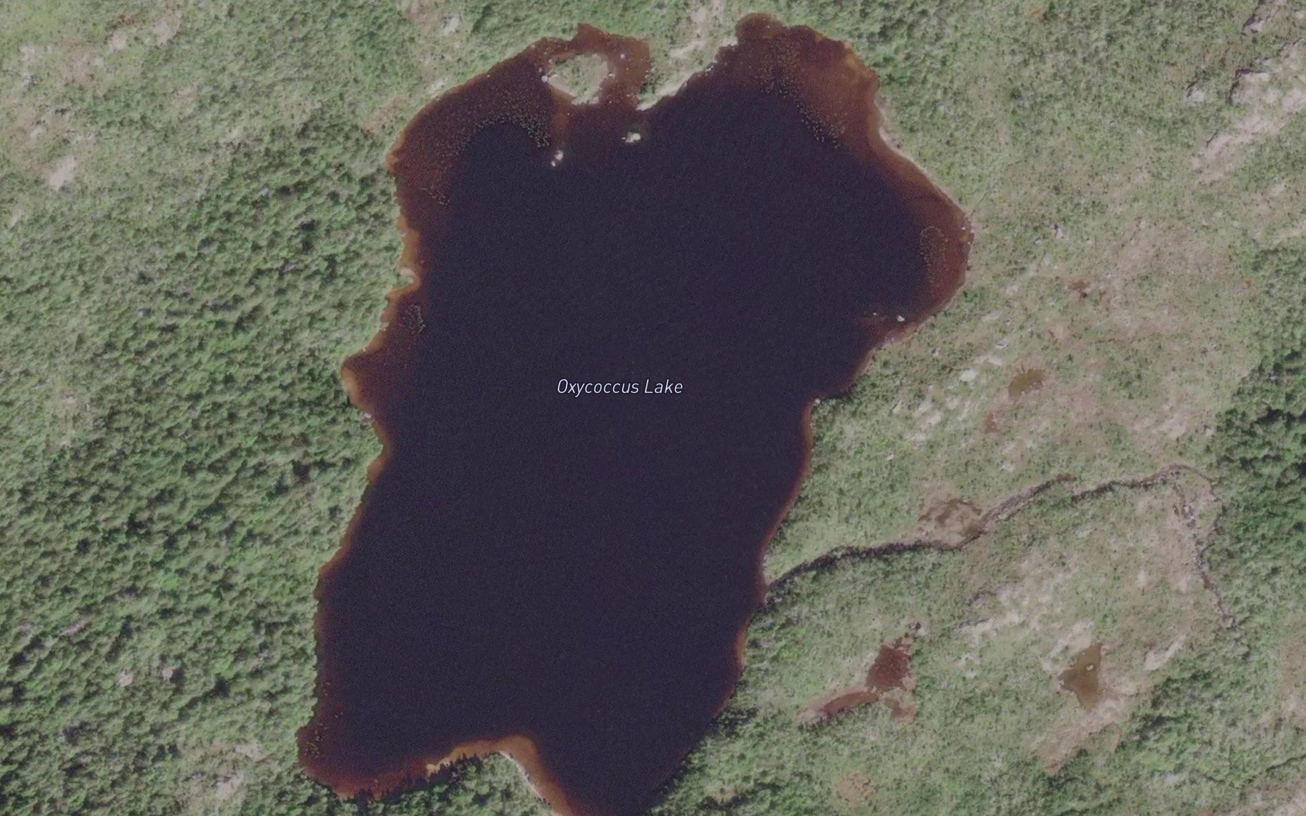 Oxycoccus Lake