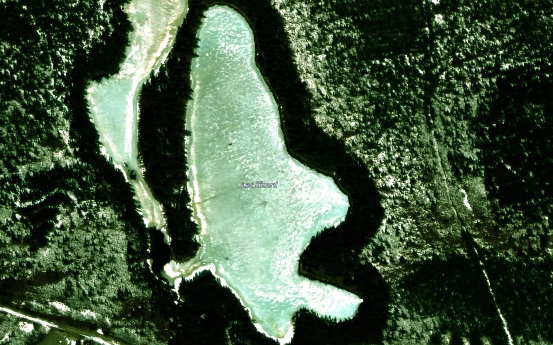 Satellite map of the Lac Binard