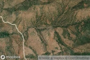 Bronson Spring