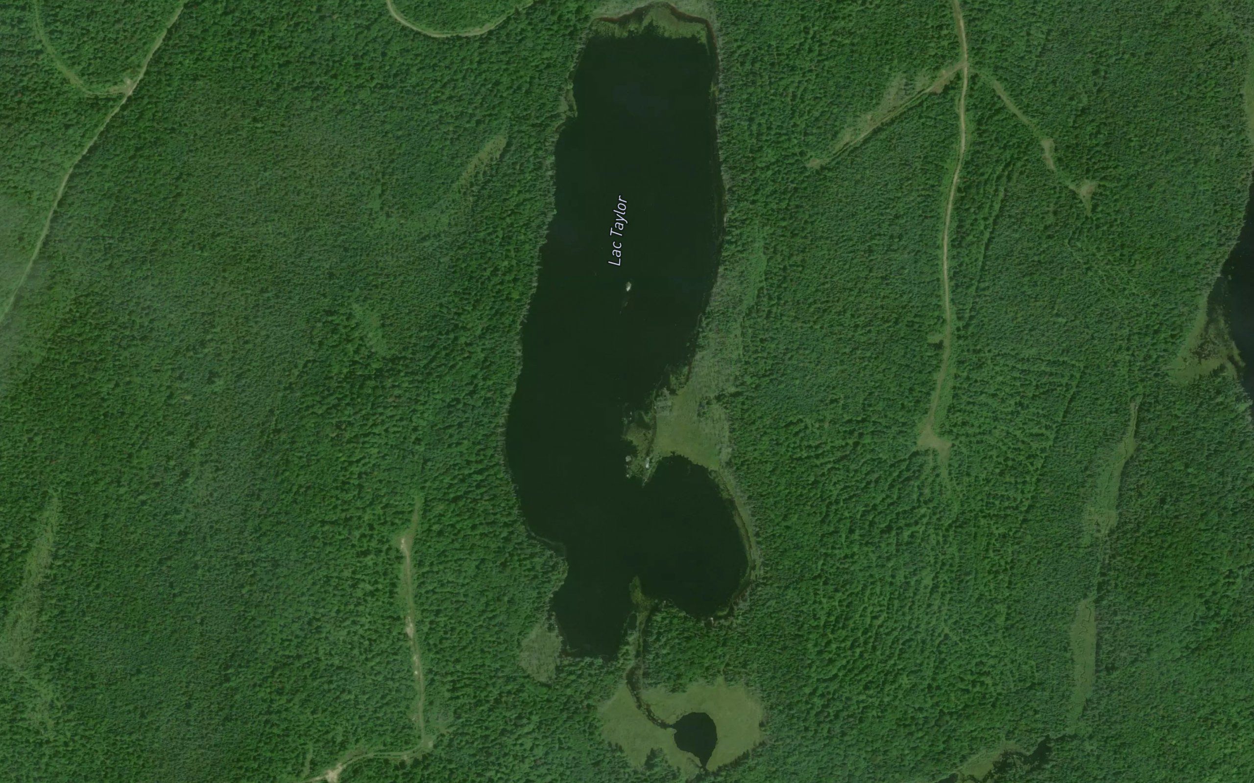 Lac Taylor