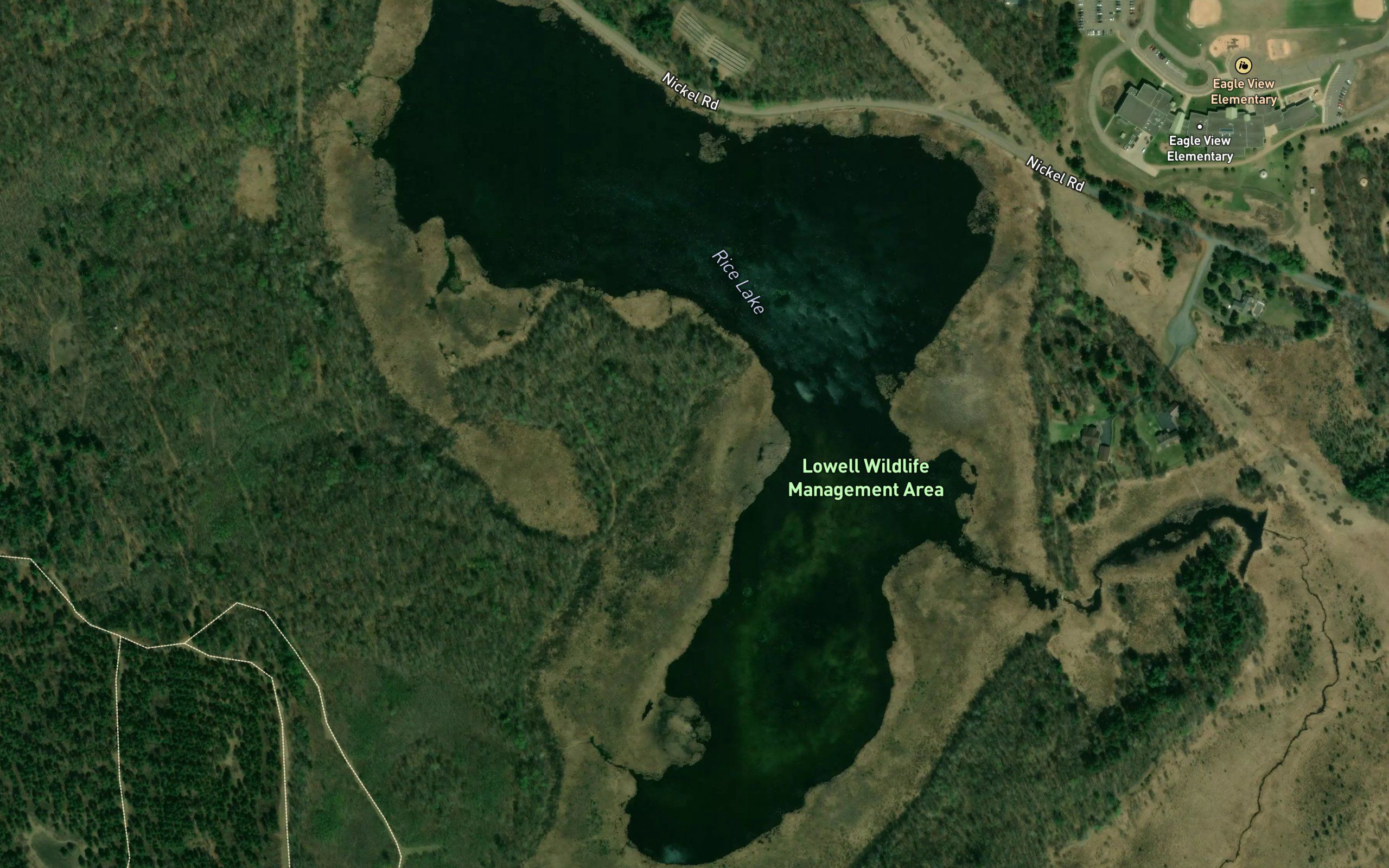 Rice Lake