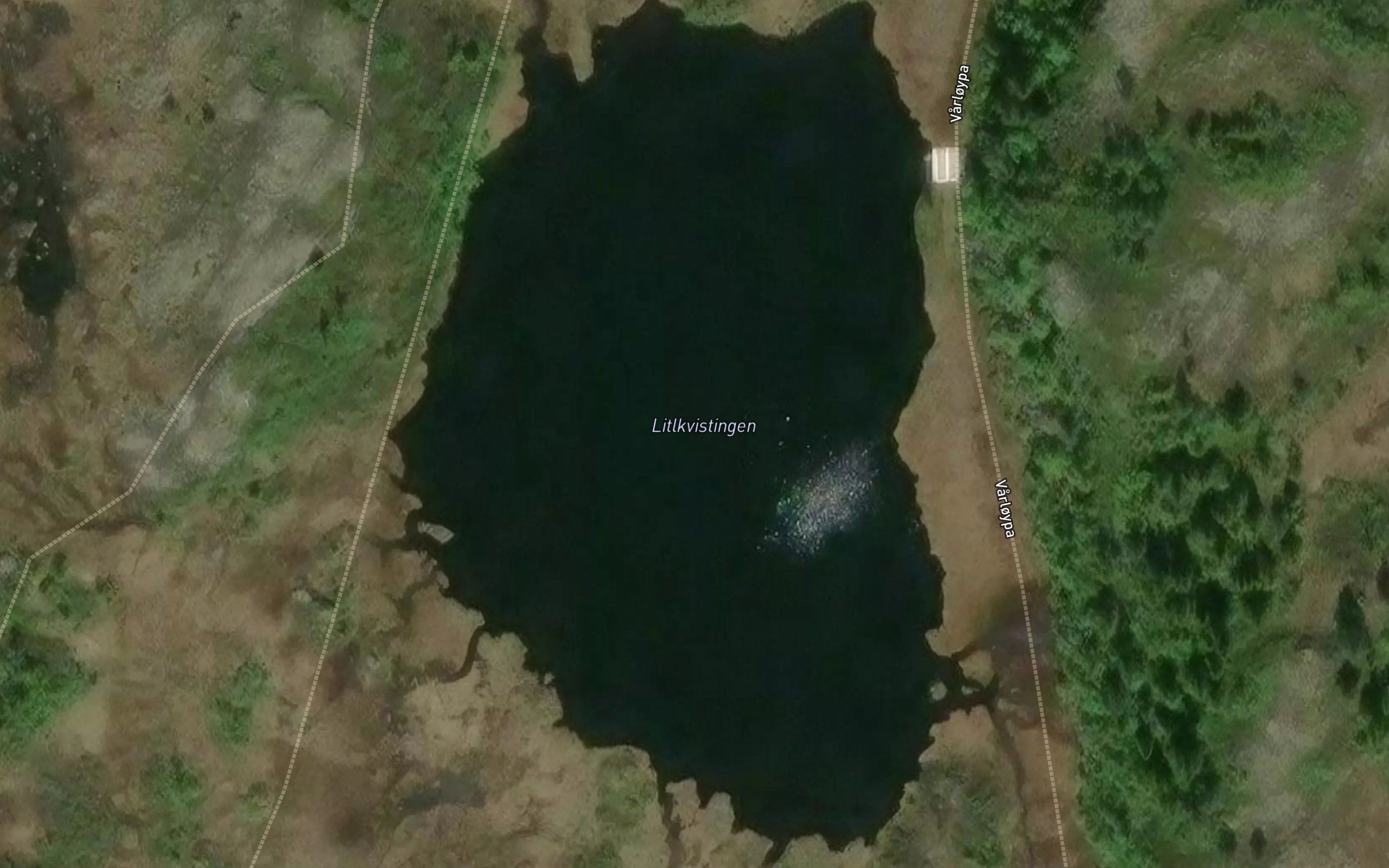 Litlkvistingen