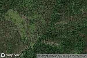 Pad' Yerbokhanikhina