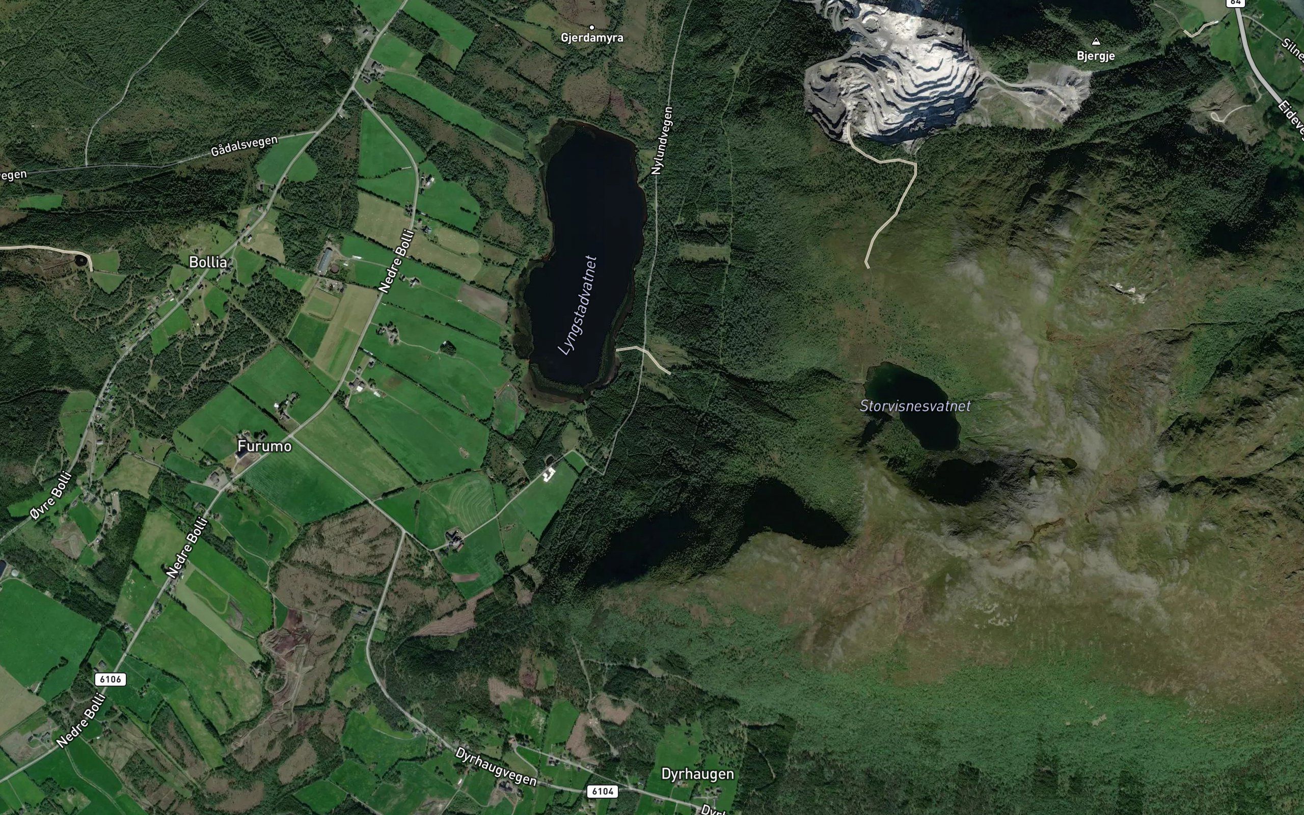 Gronneselva