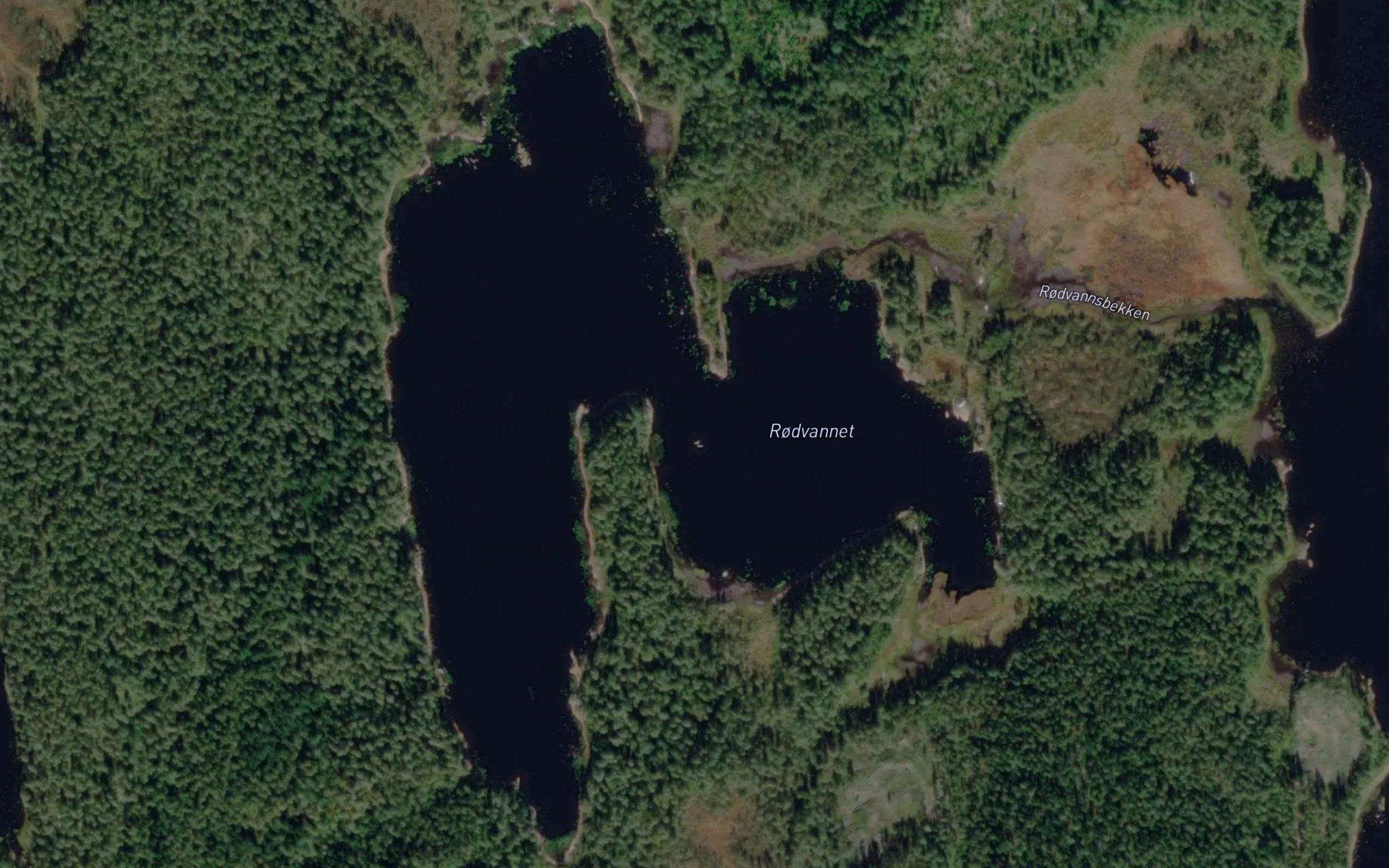 Rodvannet