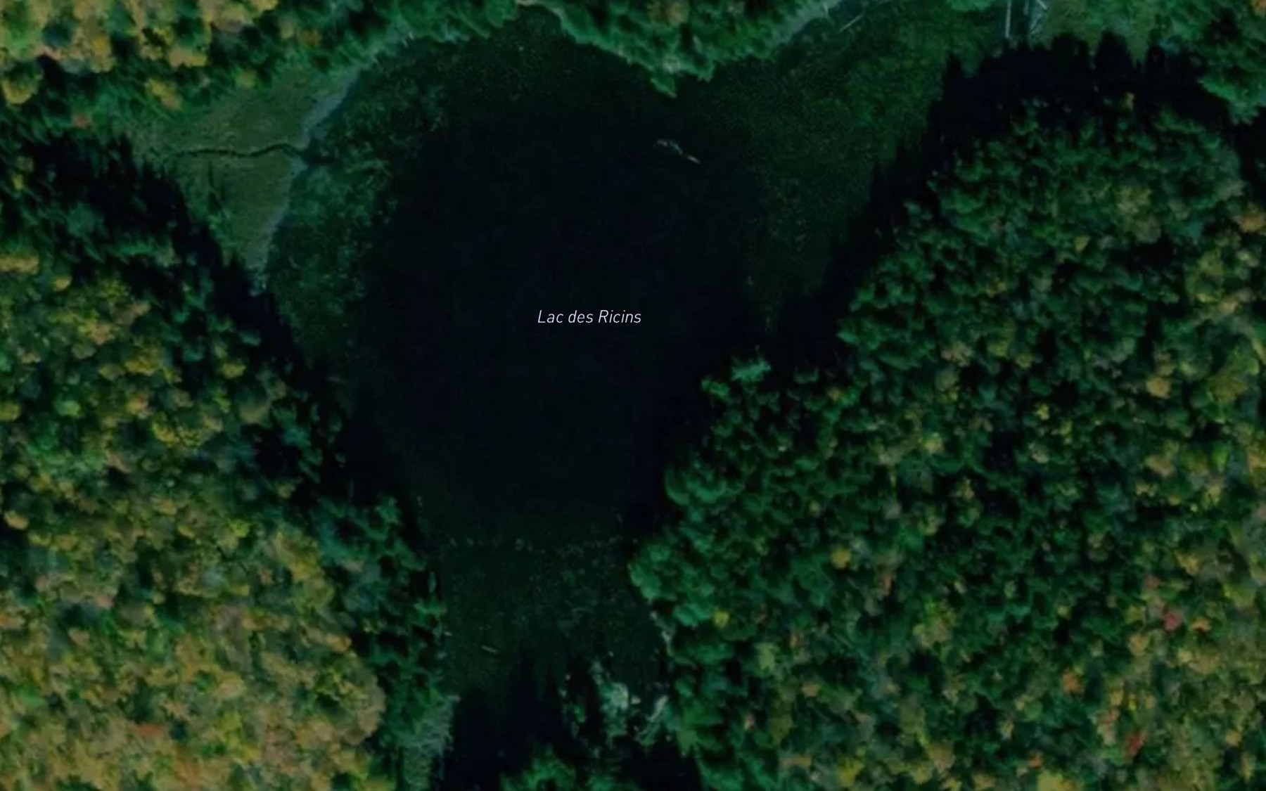 Satellite map of the Lac des Ricins