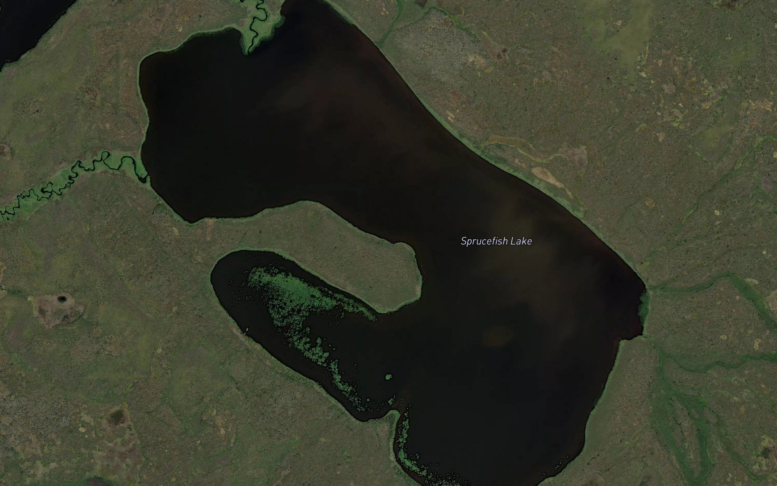Sprucefish Lake