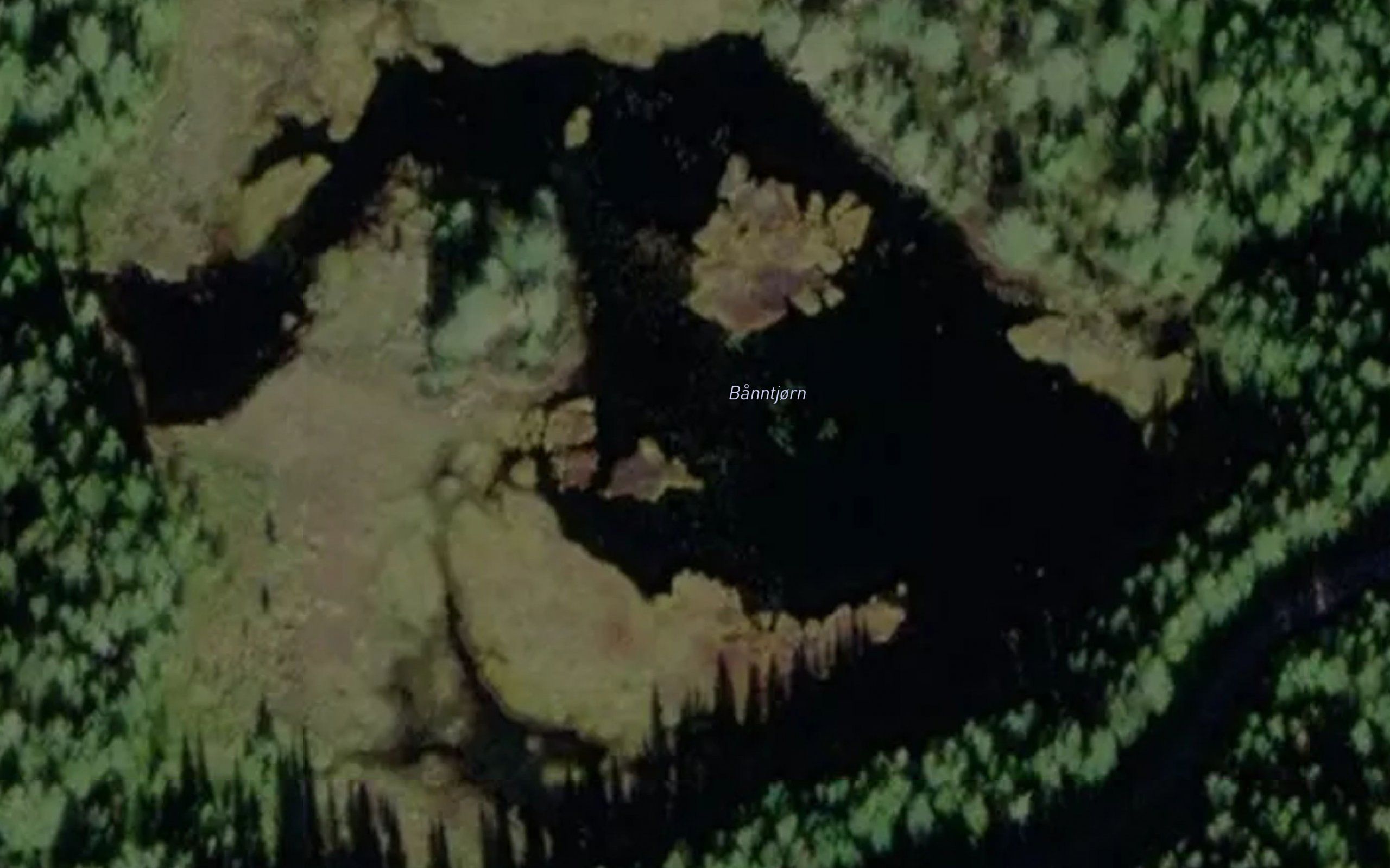 Banntjern