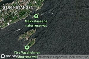Ostre Vassholmflua