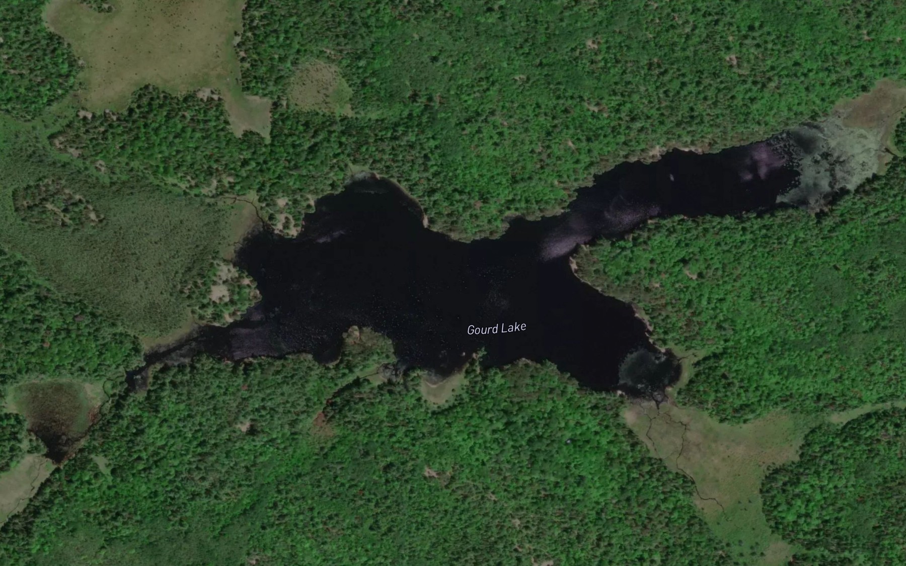 Satellite map of the Gourd Lake