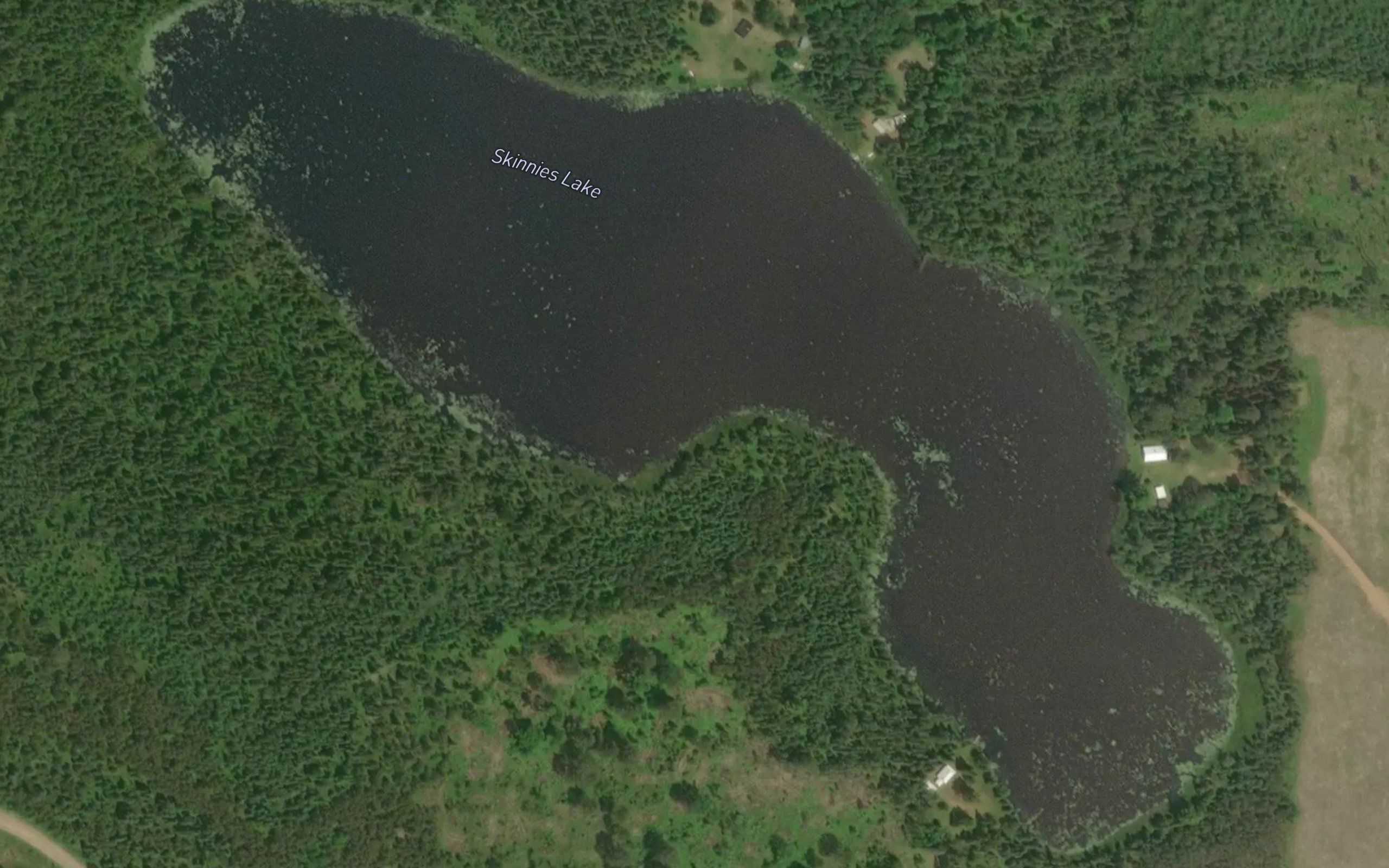 Skinnies Lake