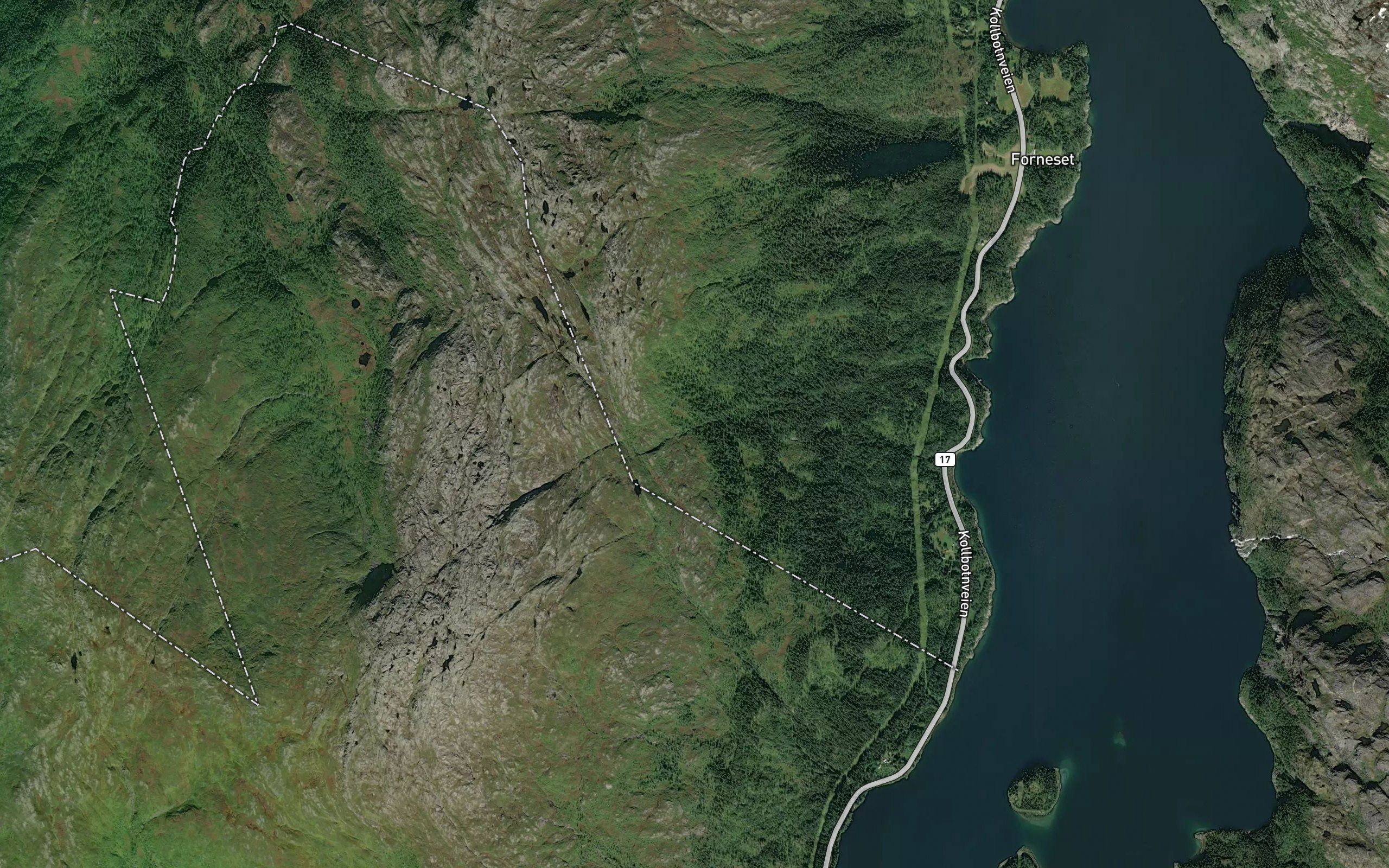 Storvikelva