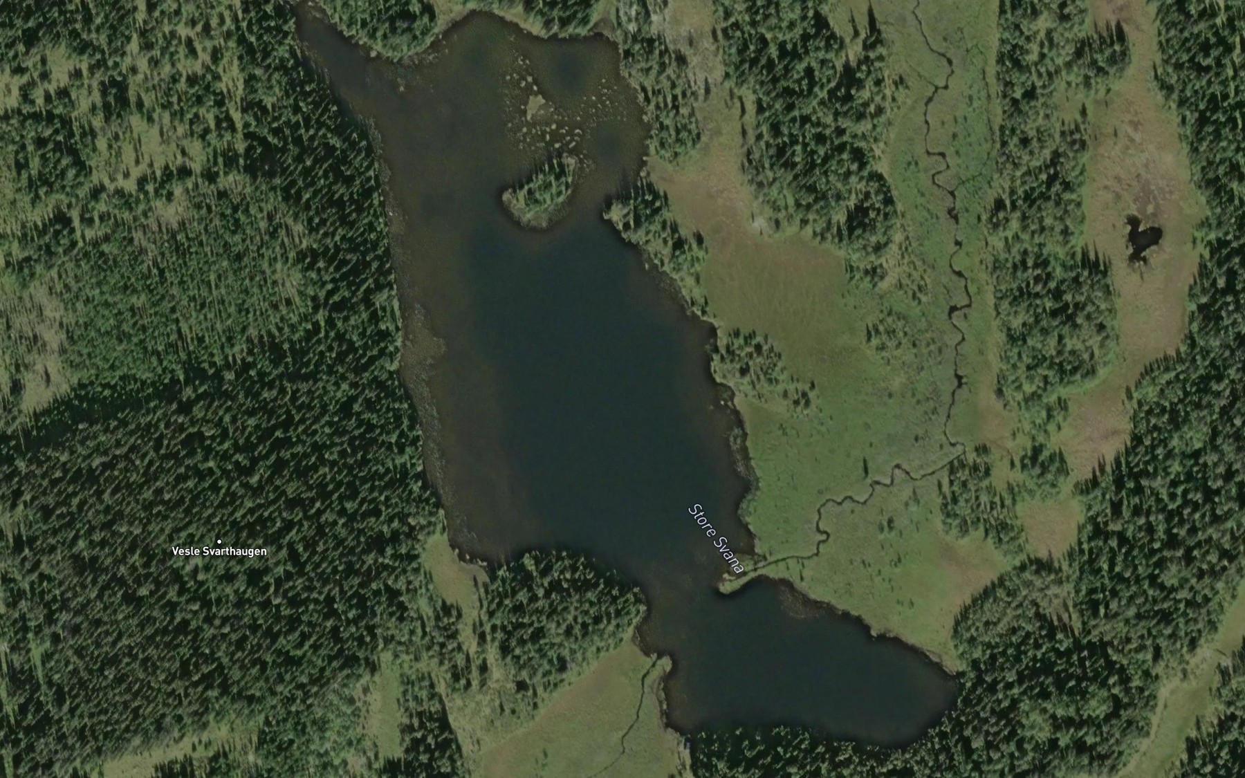 Satellite map of the Svana,store